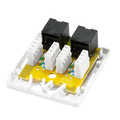 Cat.6A Surface Mounted Box 2 x RJ45, unshielded