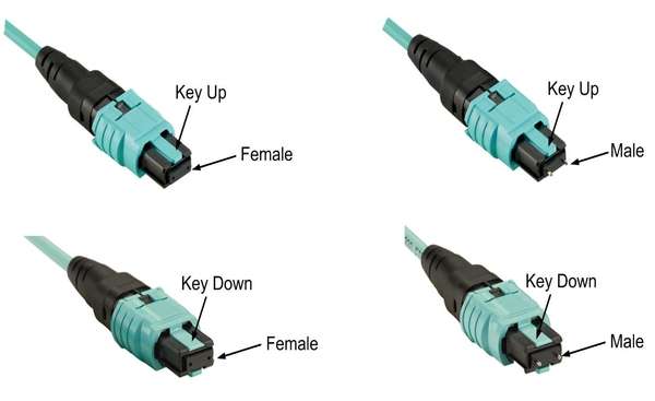 Naar omschrijving van OM3-MPO-12V-LC-3-6 - OM3 MPO 12v naar LC lengte 3,6m