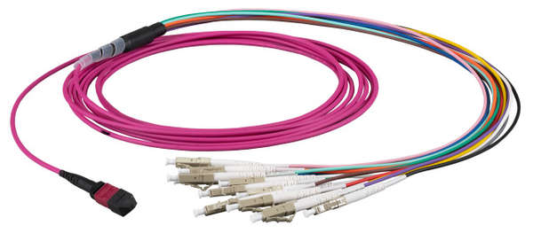 Naar omschrijving van MTPF12LCOM4-2 - MTP-F/LC 12-fibers patchkabel OM4, 2m