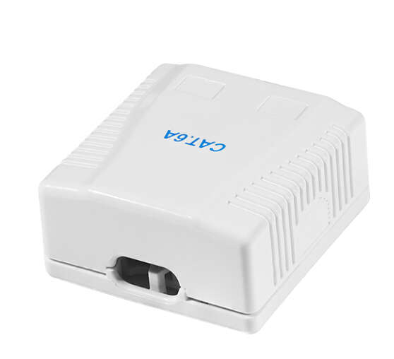 Naar omschrijving van NP0101 - Cat.6A Surface Mounted Box 2 x RJ45, unshielded